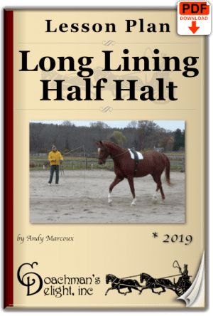Long lining half halt lesson plan